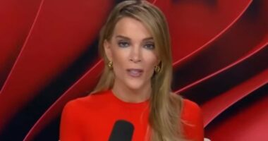 Megyn Kelly likens Omar to Tourette's advocate after SOTU clash