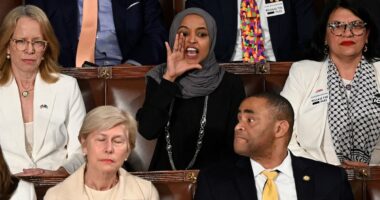 Megyn Kelly likens 'foul-mouthed' Ilhan Omar to Tourette's campaigner