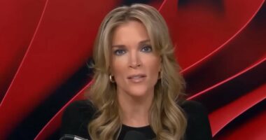 Megyn Kelly tells Shaboozey 'Sing for me, b----' after Grammy speech