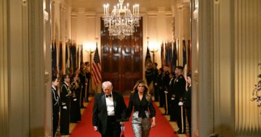 Melania stuns as she holds hands with Trump at Governors' Dinner