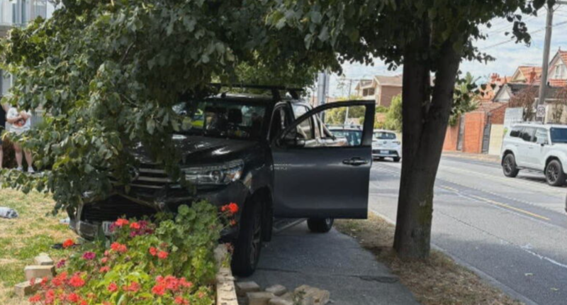 Melbourne woman gardening when ute ploughs into front yard