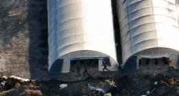 Men seen fleeing into bush after police bust $10 million cannabis crop