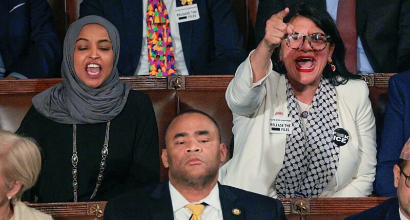'Mentally deranged' Ilhan Omar, Rashida Tlaib should 'be institutionalized' for SOTU antics: Trump