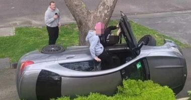 Michael Voss reveals the very unlikely friendship he has made after the Carlton boss chased down an alleged car thief on his morning coffee run