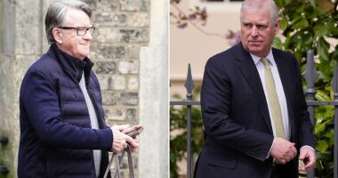 Minister says 'options open' on Andrew as MP urges Parliament probe