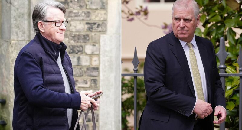 Minister says 'options open' on Andrew as MP urges Parliament probe