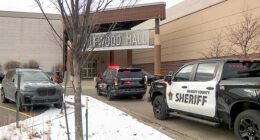 Minnesota mall shooting leaves 2 juveniles in custody; suspected gunman still at large