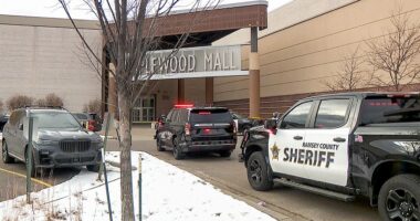 Minnesota mall shooting leaves 2 juveniles in custody; suspected gunman still at large