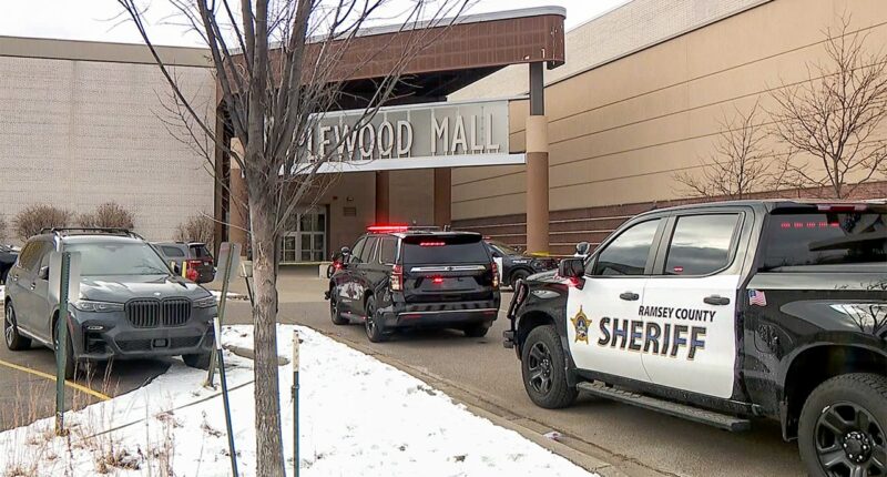 Minnesota mall shooting leaves 2 juveniles in custody; suspected gunman still at large