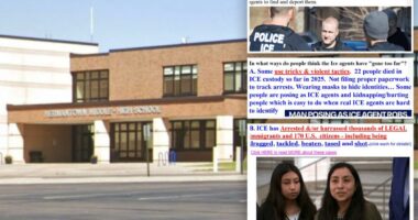 Minnesota school taught eighth-grade geography class ICE uses 'tricky and violent tactics': docs