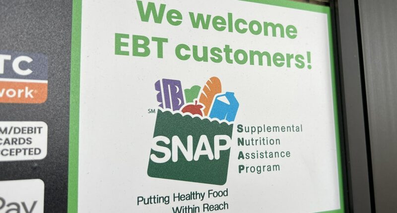 Minnesota woman sentenced to prison for $325K SNAP fraud scheme