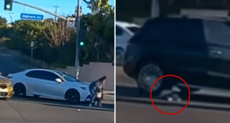 Mom charged after horrific video of her 19-month-old child falling from moving car