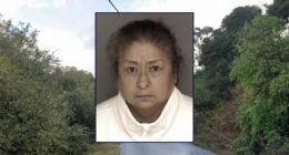 Mom 'dressed' newborn before abandoning him outside in grocery bag to die