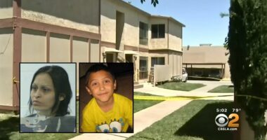 Mom who kept her 8-year-old son in wooden box while torturing him with boyfriend says she was 'coerced' into pleading guilty