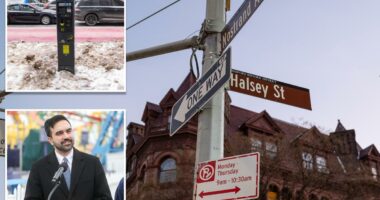 More NYC parking meters could rake in $1B, think-tank tells Mamdani â as locals blast 'money grab'