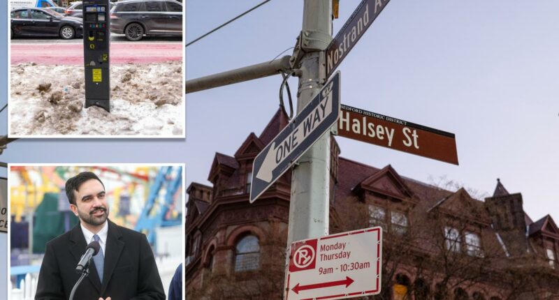 More NYC parking meters could rake in $1B, think-tank tells Mamdani â as locals blast 'money grab'