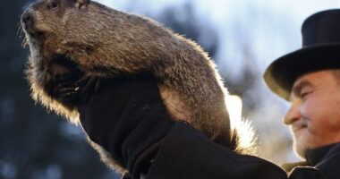 Morning Minute: Don't Drive Angry!