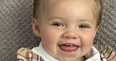 Mother, 30, was told her toddler was 'absolutely fine' days before she suffered fatal heart attack brought on by common virus