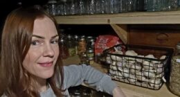 Mother builds her own 'grocery store' at home - complete with shelves full of dried beans, soups, bone broth and lentils - to make sure her family eats healthily 