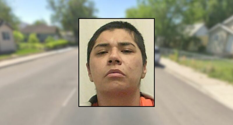 Mother walks into daughter's bedroom and finds her being stabbed nearly 20 times by woman who then slashes the mom in the face: Police