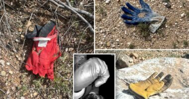 Multiple additional gloves found by The Post in same area near Nancy Guthrie's house where FBI found potential evidence