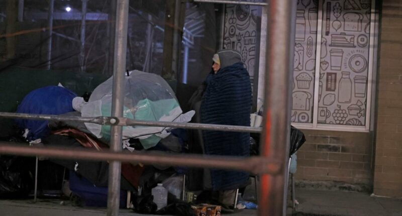 Mumbling homeless woman left to spend night on NYC sidewalk
