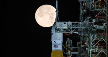 NASA targets a March launch of the moon rocket after test run reveals fuel leaks