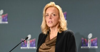 NFL Confirms ICE Agents Will Not Conduct Operations at Super Bowl LX