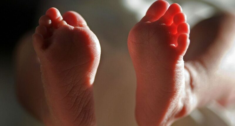 NHS staff ordered to stop discouraging first cousin marriages in government guidance