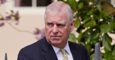 NORMAN BAKER: Andrew sold out his own country. Is that not treason?