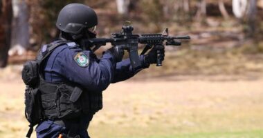 NSW Police announce new armed response command in the wake of Bondi terror attack