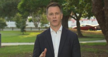 NSW Premier defends police during 'incendiary' mass protest