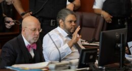 NY jury urged to acquit suspect in Chinatown slayings by reason of insanity