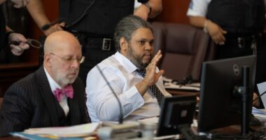 NY jury urged to acquit suspect in Chinatown slayings by reason of insanity