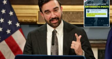 NYC Health Department staffer wished Israelis were wiped off Earth in vile resurfaced X post: report