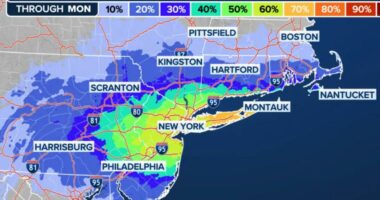 NYC braces for up to 3 inches of snow overnight Sunday