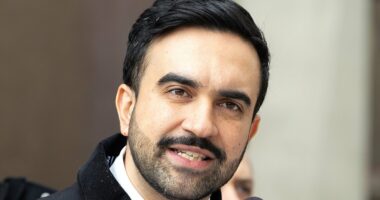 NYC mayor blasted for requiring ID to shovel snow