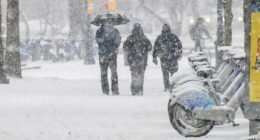 NYC seeks emergency snow shovelers for blizzard, requires IDs not needed to vote