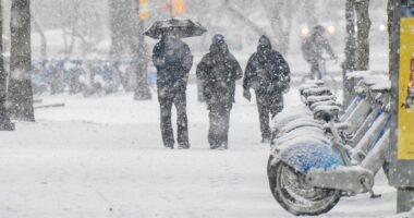 NYC seeks emergency snow shovelers for blizzard, requires IDs not needed to vote