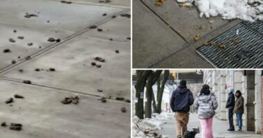 NYC's most poop-filled areas revealed -- as dog waste complaints hit record highs