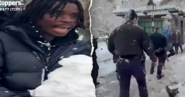 NYPD arrests suspect in park attack on officers that Mamdani dismissed as 'snowball fight'