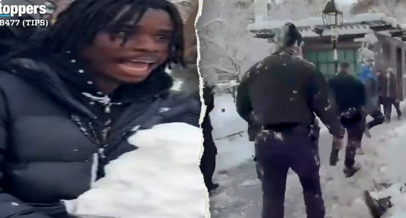 NYPD arrests suspect in park attack on officers that Mamdani dismissed as 'snowball fight'