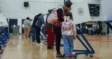 N.Y.’s special elections must become nonpartisan