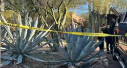 Nancy Guthrie case: All of the known properties searched by authorities since disappearance