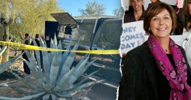 Nancy Guthrie case: FBI prepares for 'parallel realities' while awaiting DNA results