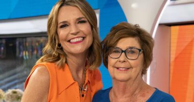 Nancy Guthrie police insiders finally name possible prime suspect