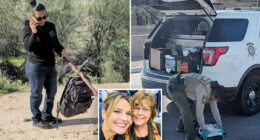 Nancy Guthrie volunteers find backpack in nearby storm drain