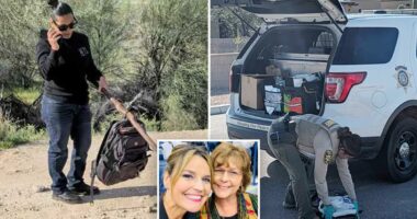 Nancy Guthrie volunteers find backpack in nearby storm drain