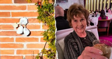 Nancy Guthrie's house equipped with floodlights; authorities probe alleged ransom note clues