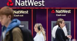 NatWest shares start to recover as investors 'buy the dip': Should you snap up its 5.3% dividend?